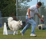 At flyball practice (July 2005)