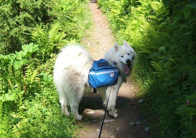 On the trail to Lost Lake, AK (June 2005)
