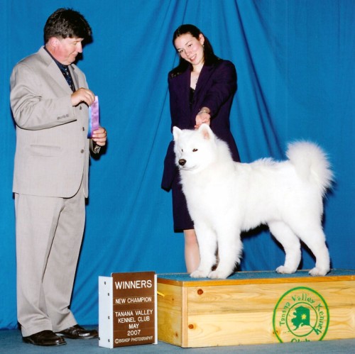 Chip finished his championship in Fairbanks under judge Charles Olvis.