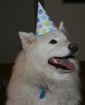 Happy 5th birthday, Max!